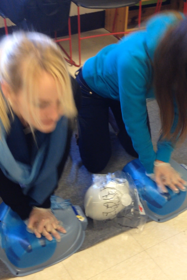 StreetKo Concepts American Red Cross CPR Training The National Safety Council's Defensive